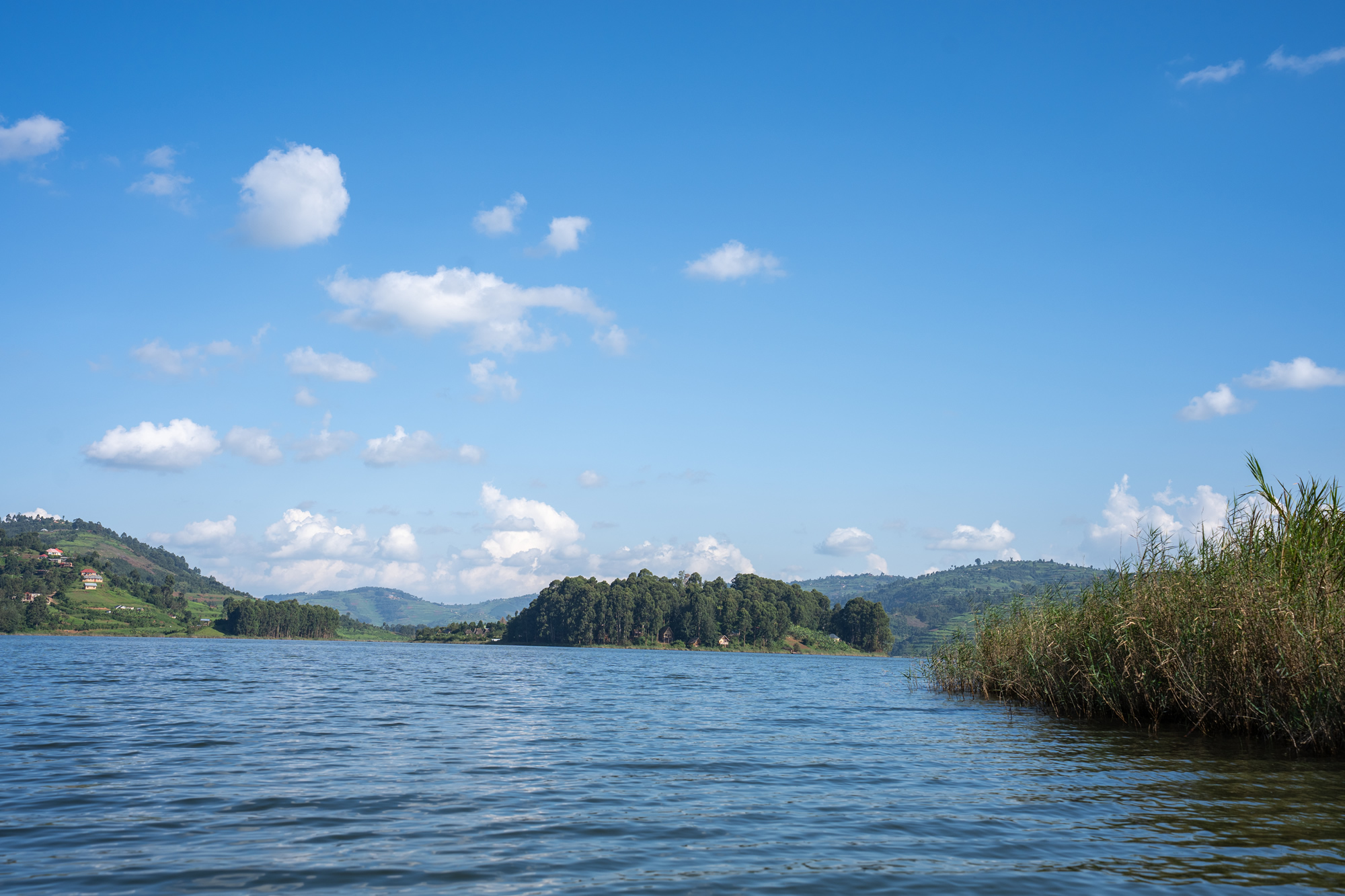 Safari Trips: Lake Landscape