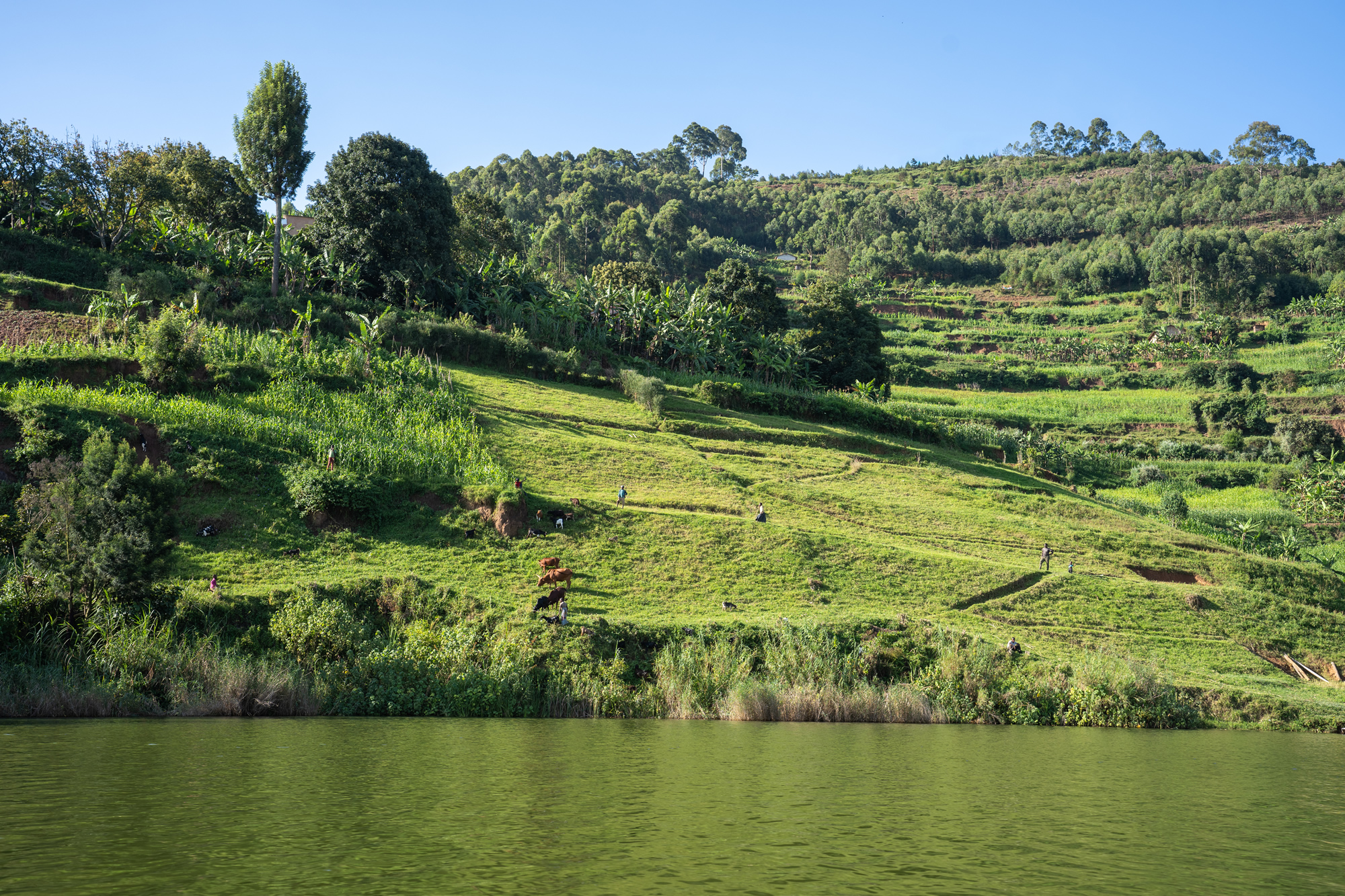 Safari Trips: River and Landscape