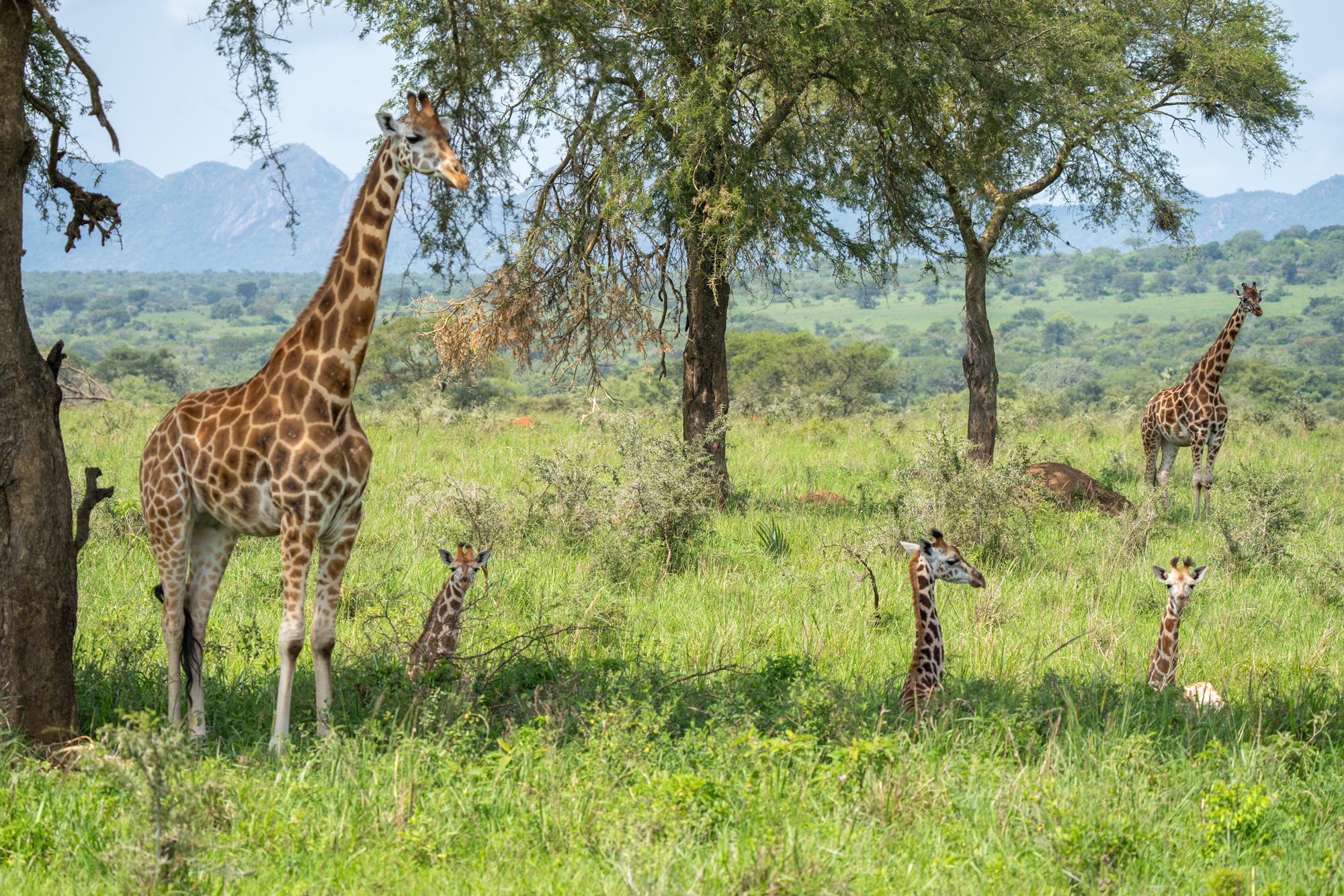  Rwanda - The Land of Quiet Wonder 