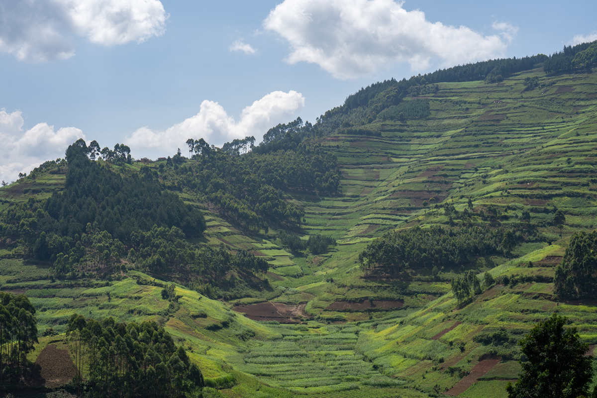 Durch die Kigezi Highlands zum Lake Mburo National Park