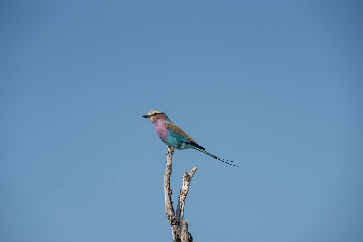 A gentler rhythm in Lake Mburo National Park