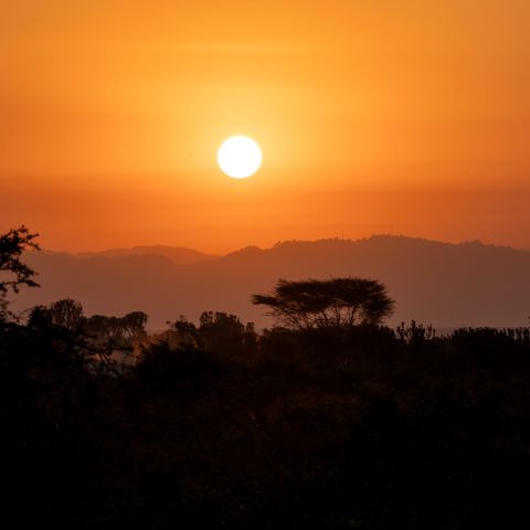 Sunset in East Africa